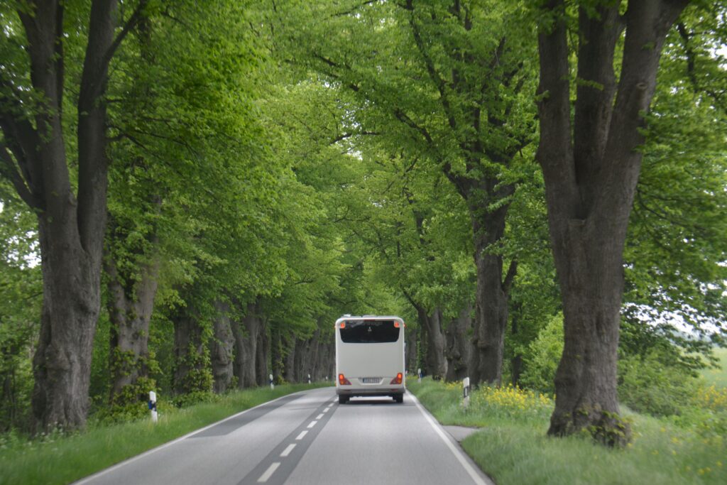 Big motorhome on a road